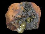 Gemmy, Yellow-Green Adamite Crystals - Durango, Mexico #65290-1